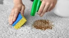 Koffie op het tapijt gemorst? Simpele truc verwijdert vlek zonder dure schoonmaakmiddelen