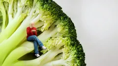 Wat is het verschil tussen veganisten en vegetariërs? - De belangrijkste verschillen uitgelegd