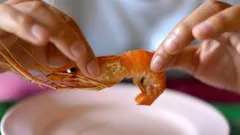 Hoe je garnalen in 2 seconden schoonmaakt: de verrassende "draai"-methode van een chef-kok