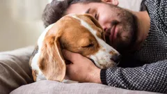 Waarom honden naast het hoofd van hun baasje slapen — een kynologisch expert onthult verrassende redenen