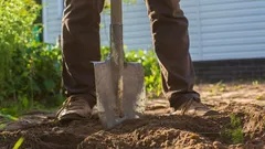 Planten stoppen met groeien: dé novemberfout die tot geen oogst leidt